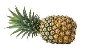 Tiefgefrorene Ananas