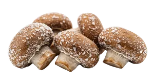 Tiefgefrorene Champignons.