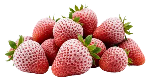 Tiefgefroene Erdbeeren