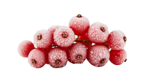 Tiefgefroene Johannesbeeren