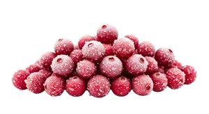 Tiefgefroene Preiselbeeren